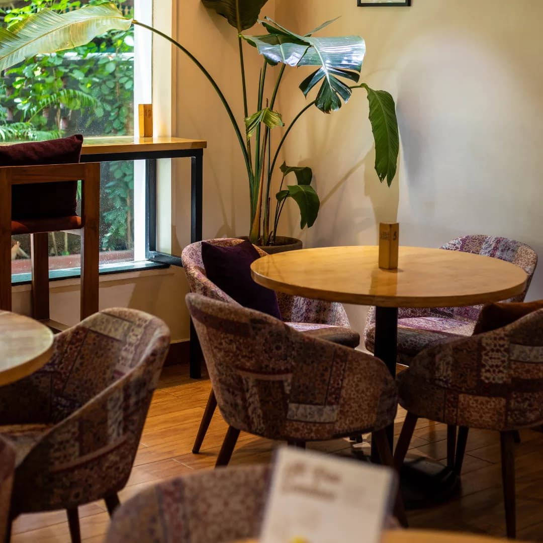 A cosy corner of the café — patterned armchairs, a leafy plant and warm lamplight beside the window