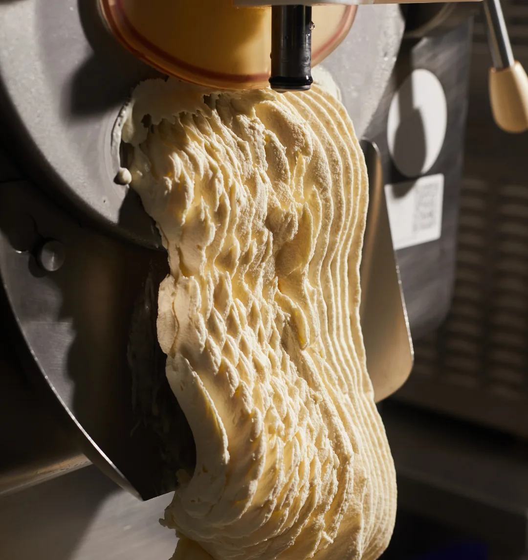 Fresh gelato ribboning out of the batch freezer, dense and cold